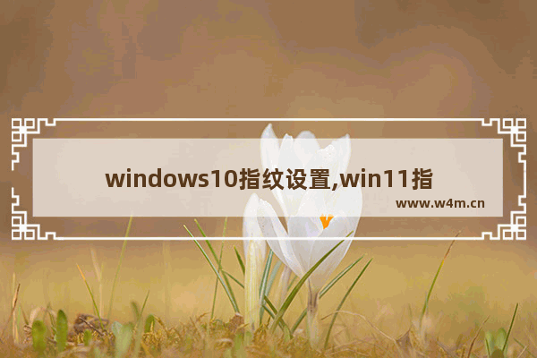 windows10指纹设置,win11指纹怎么设置