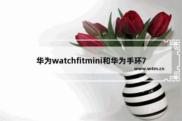 华为watchfitmini和华为手环7,华为watchfit和watchfitnew