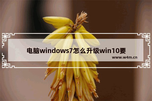 电脑windows7怎么升级win10要多少钱,升级windows10多少钱