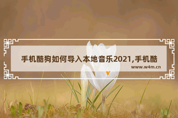 手机酷狗如何导入本地音乐2021,手机酷狗如何导入本地音乐文件