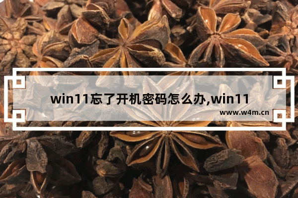 win11忘了开机密码怎么办,win11怎么设置不用密码开机