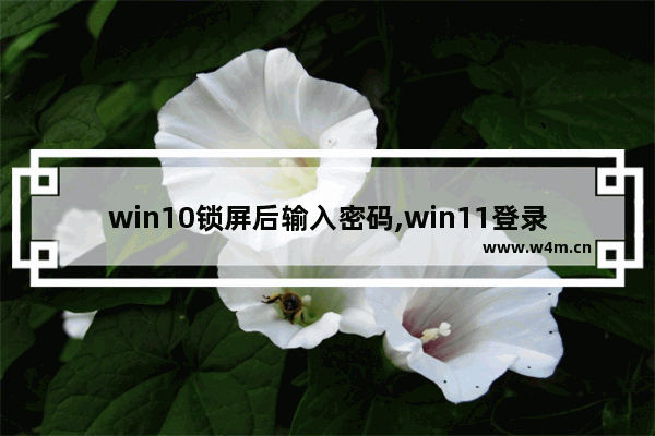 win10锁屏后输入密码,win11登录密码忘记了