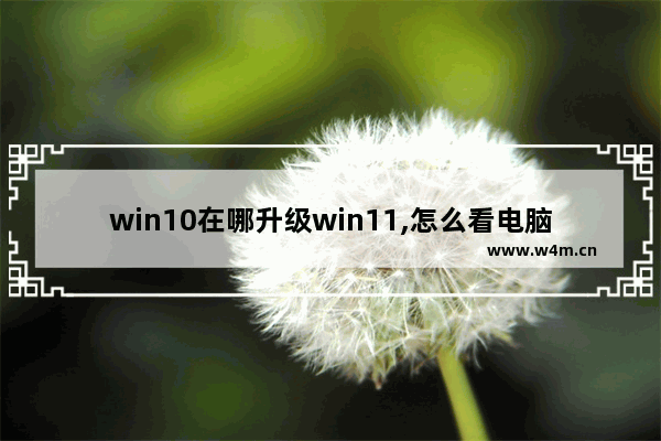 win10在哪升级win11,怎么看电脑升级win11