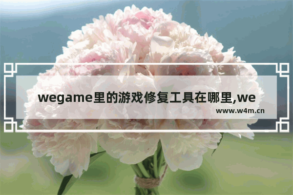 wegame里的游戏修复工具在哪里,wegame游戏修复功能在哪