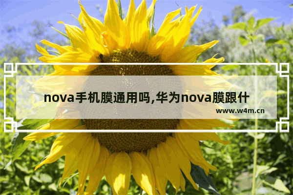 nova手机膜通用吗,华为nova膜跟什么通用