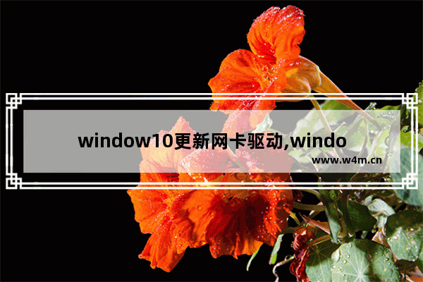 window10更新网卡驱动,windows11网卡驱动