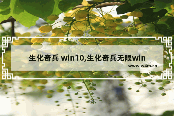 生化奇兵 win10,生化奇兵无限win10能玩吗