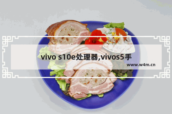 vivo s10e处理器,vivos5手机参数什么处理器