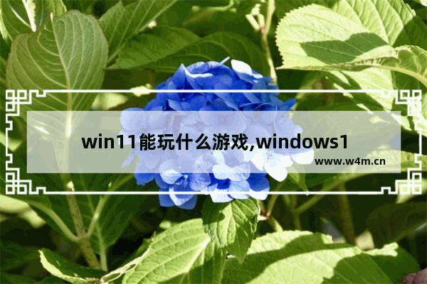 win11能玩什么游戏,windows10系统自带小游戏吗