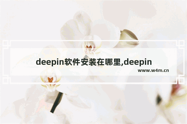 deepin软件安装在哪里,deepin软件默认安装哪里