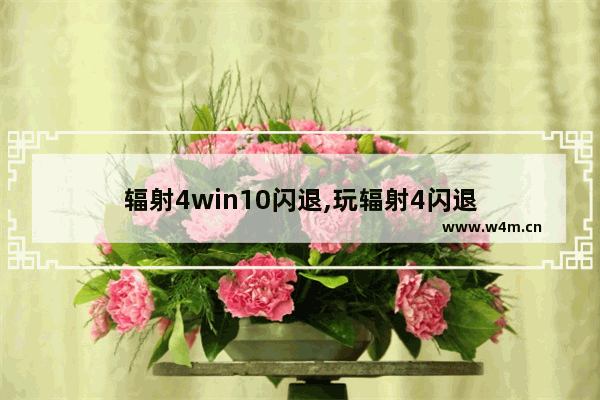 辐射4win10闪退,玩辐射4闪退