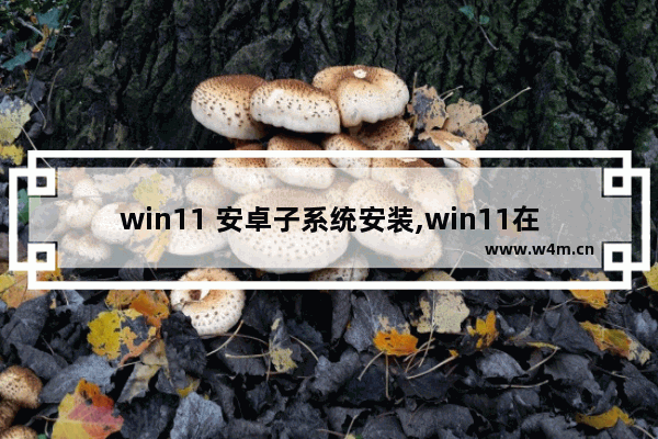 win11 安卓子系统安装,win11在哪里下载安卓软件