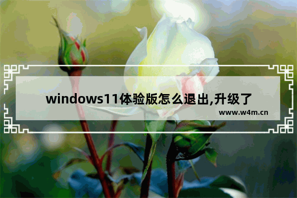 windows11体验版怎么退出,升级了win11怎么卸载win10