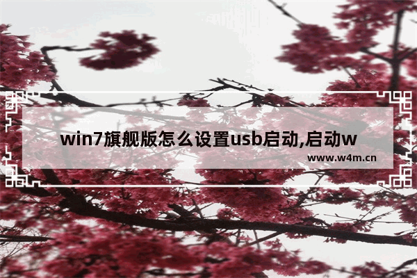 win7旗舰版怎么设置usb启动,启动win7的本机usb引导