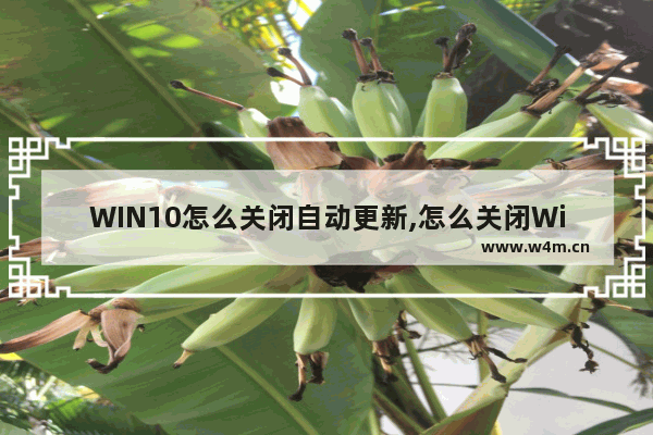 WIN10怎么关闭自动更新,怎么关闭Win10的自动更新