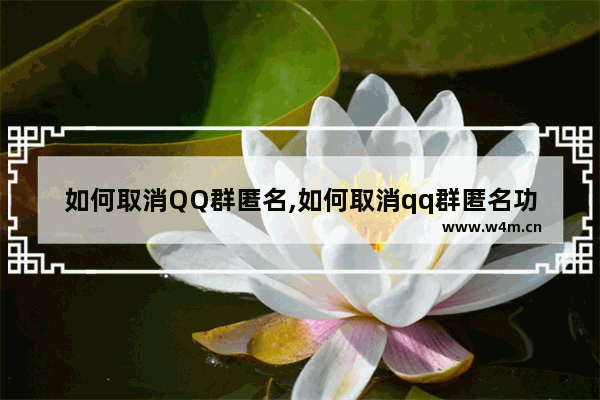 如何取消QQ群匿名,如何取消qq群匿名功能