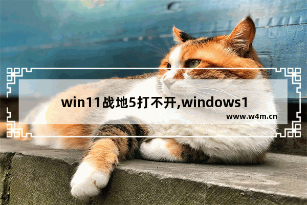 win11战地5打不开,windows10可以玩战地5吗