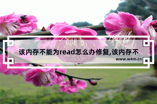 该内存不能为read怎么办修复,该内存不能为read怎么解决-