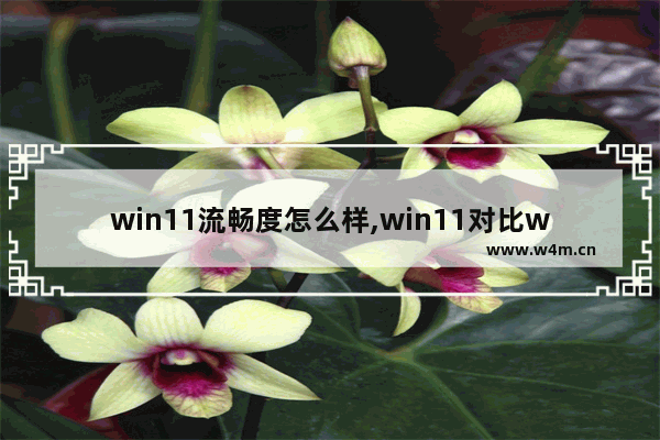 win11流畅度怎么样,win11对比win10流畅很多吗