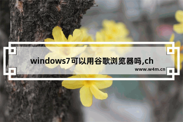 windows7可以用谷歌浏览器吗,chrome浏览器支持win7系统吗