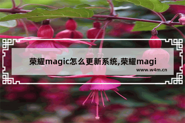 荣耀magic怎么更新系统,荣耀magicui更新