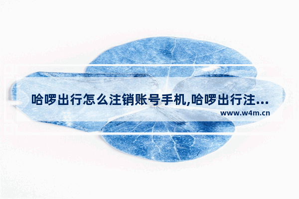 哈啰出行怎么注销账号手机,哈啰出行注销账号后怎么不能再注册-