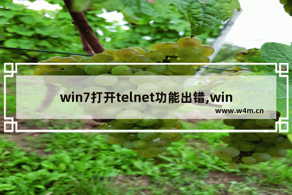 win7打开telnet功能出错,windows7telnet不能用