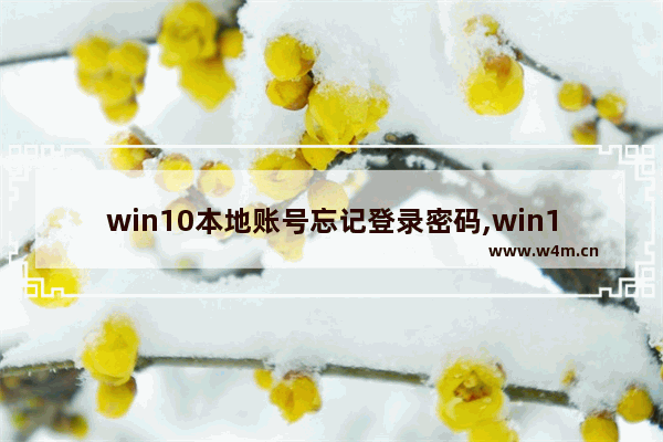 win10本地账号忘记登录密码,win10本地密码忘记了怎么办