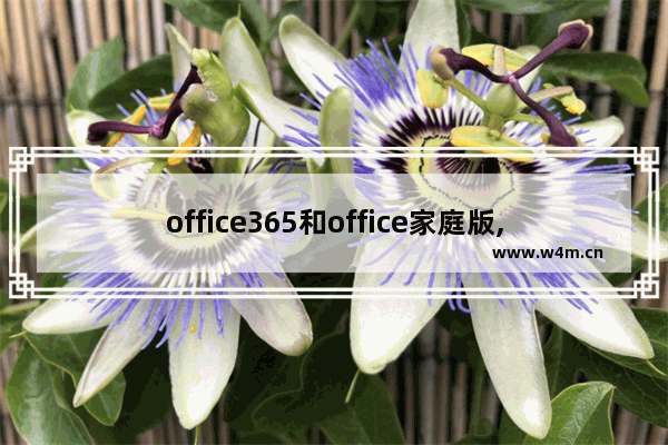 office365和office家庭版,office365商业版和家庭版有什么区别