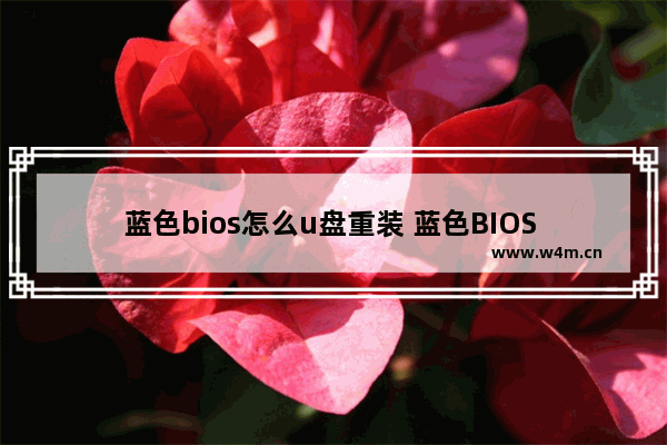 蓝色bios怎么u盘重装 蓝色BIOS U盘重装教程