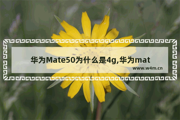 华为Mate50为什么是4g,华为mate50为什么是刘海屏