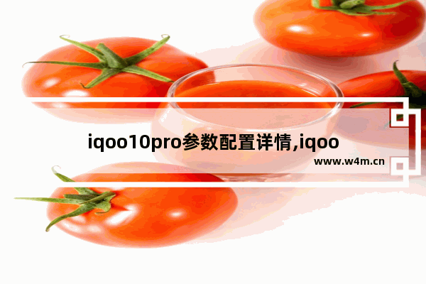 iqoo10pro参数配置详情,iqoo9参数配置详情