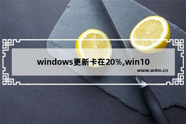 windows更新卡在20%,win102004很卡