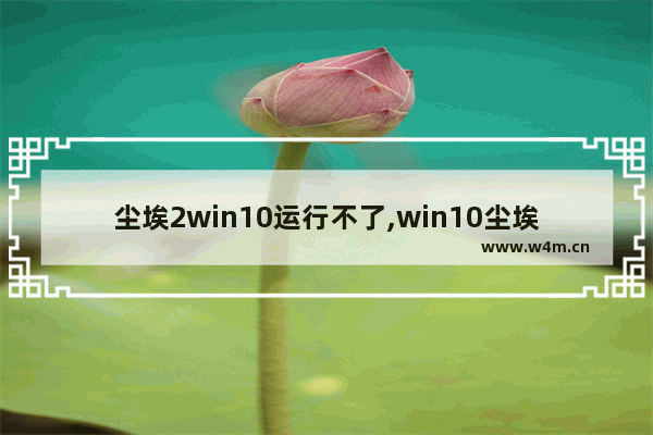 尘埃2win10运行不了,win10尘埃3打开没反应