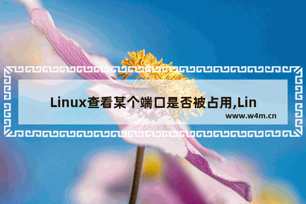 Linux查看某个端口是否被占用,Linux如何查看端口是否被占用