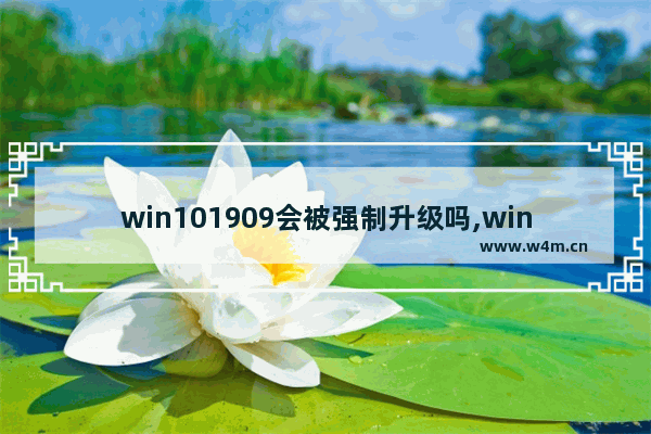 win101909会被强制升级吗,win10的夜间模式用不了了