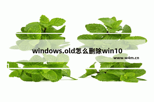 windows.old怎么删除win10,windows.old怎么删除没有磁盘清理