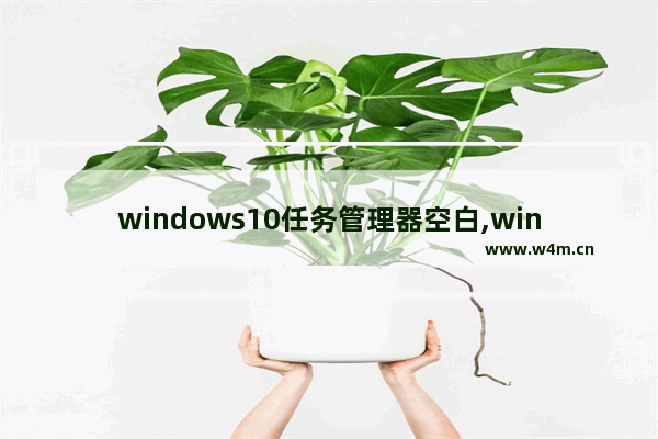 windows10任务管理器空白,win11任务管理器空白