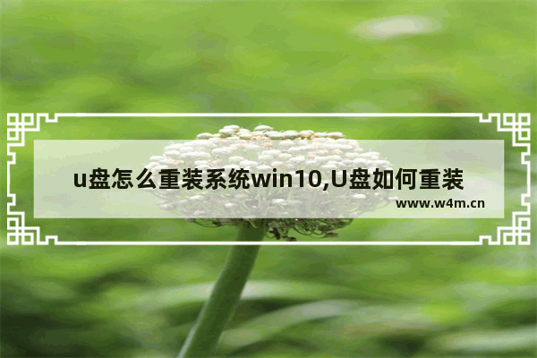 u盘怎么重装系统win10,U盘如何重装win10系统