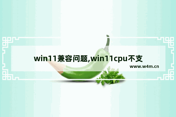 win11兼容问题,win11cpu不支持怎么办