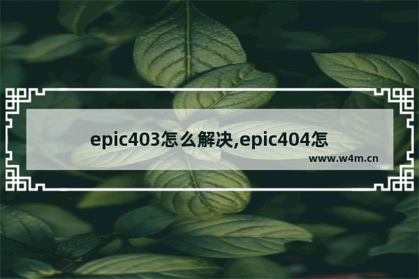 epic403怎么解决,epic404怎么解决