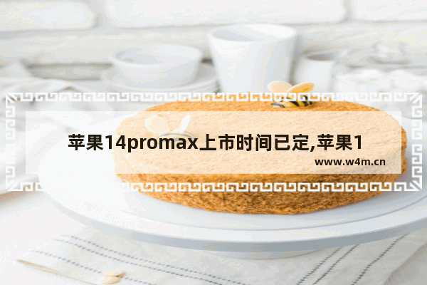 苹果14promax上市时间已定,苹果14promax什么时候上市