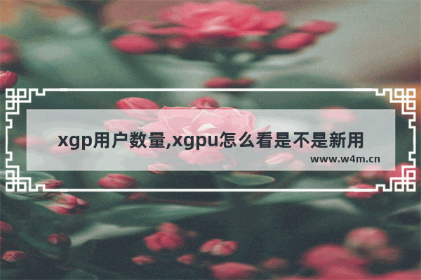 xgp用户数量,xgpu怎么看是不是新用户