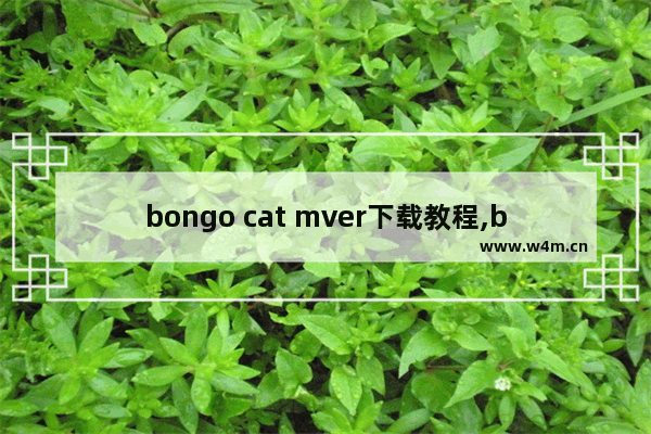 bongo cat mver下载教程,bongo cat mver怎么使用