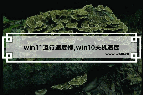 win11运行速度慢,win10关机速度慢解决方法