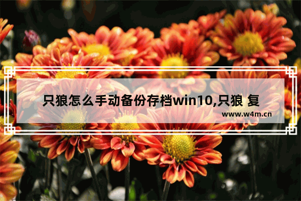 只狼怎么手动备份存档win10,只狼 复制存档