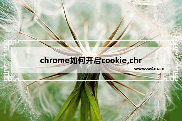 chrome如何开启cookie,chrome浏览器cookie设置