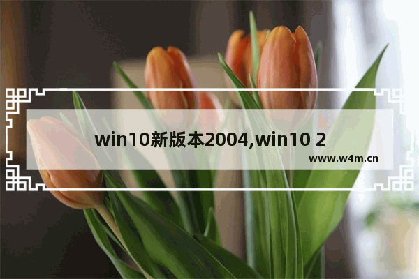 win10新版本2004,win10 2004正式版推送