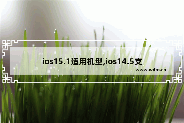 ios15.1适用机型,ios14.5支持的机型