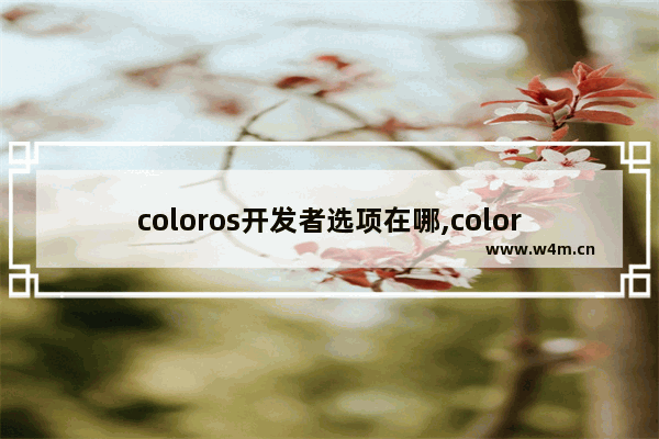 coloros开发者选项在哪,coloros12开发者模式